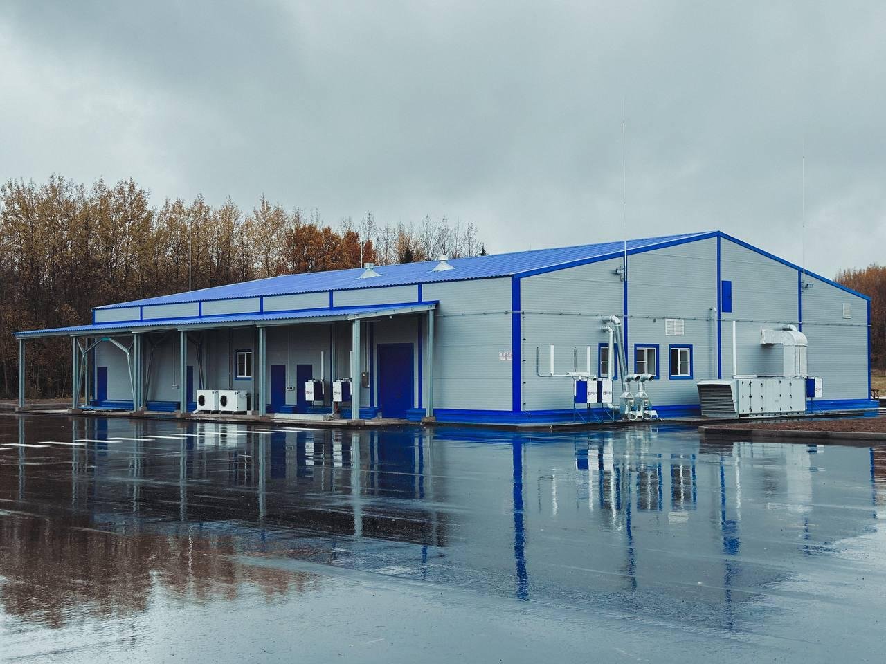 Современный завод по переработке рыбы построили в Подмосковье