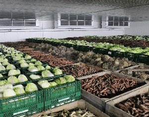 Овощехранилище за 180 млн рублей появится в Краснодарском крае